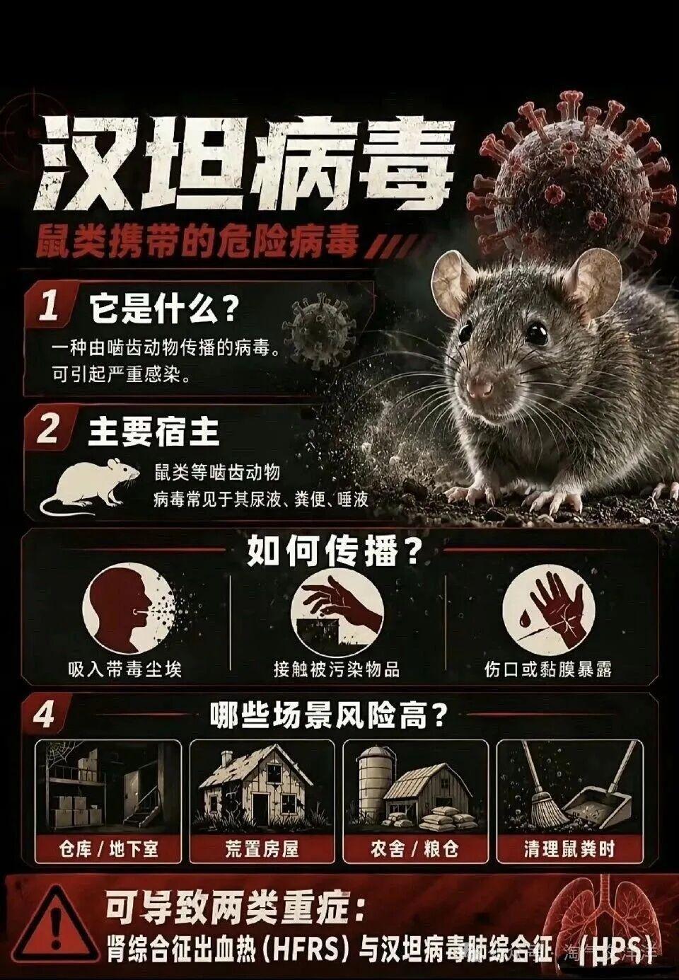 kaiyun-台北出现汉坦病毒致死病例!网友扒出竟早有预言,专家否认人传人